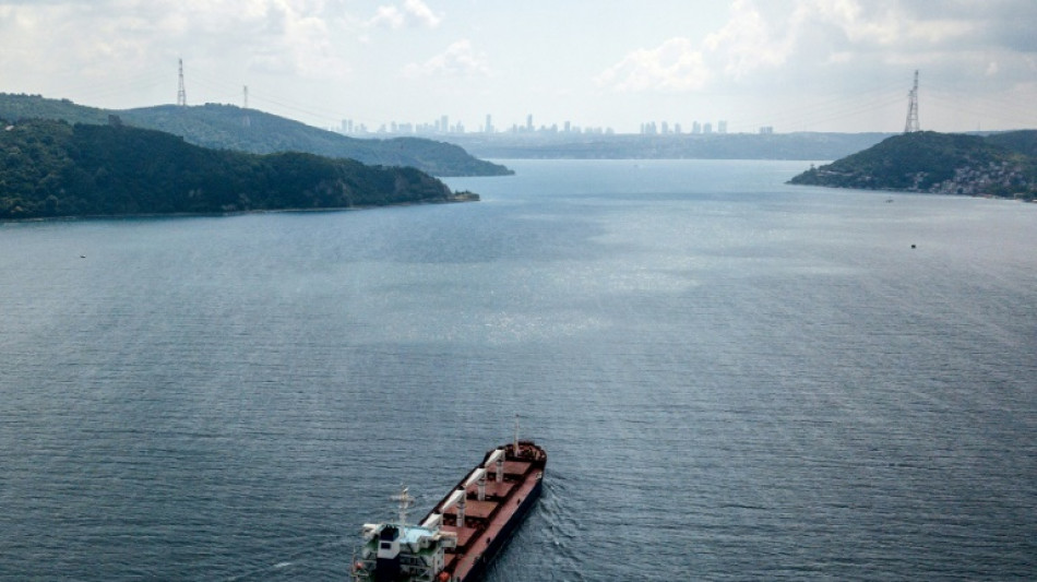 First Ukraine grain ship docks in Turkey after being turned away