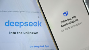 IA: la Corée du Sud retire DeepSeek des boutiques d'applications