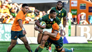 Wounded Springboks treat Wallabies rematch as 'a final'