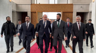 Jordanian, Qatari envoys hold talks with Syria's new leader