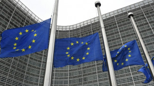 Las elecciones europeas se realizarán del 6 al 9 de junio de 2024