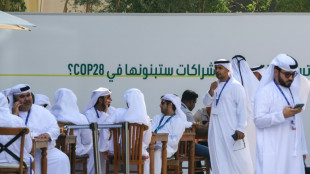 Los grupos de cabildeo son bienvenidos en la COP28, dice su presidente