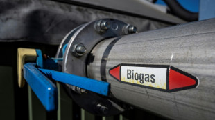 Sturz in Biogasanlage in Niedersachsen: 19-Jährige stirbt nach Arbeitsunfall