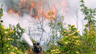 July 21 hottest day ever recorded globally: EU climate monitor