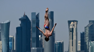 Mondiaux de natation: le Français Gary Hunt médaillé d'argent au plongeon de haut vol