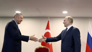 Erdogan heads for high-stakes Putin talks on Ukraine, Syria