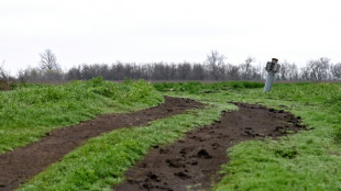 Agricultores arriesgan sus vidas por la siembra en Ucrania 