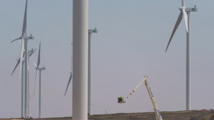 La demande mondiale d'électricité ralentit, plus de renouvelables mais aussi de charbon