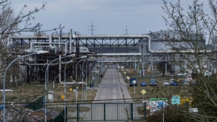 Bundesregierung verlängert Treuhandverwaltung von Rosneft Deutschland erneut 