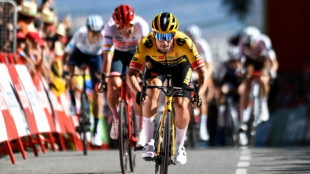 Roglic leads Vuelta after stage four victory 