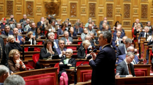 El Senado francés aprueba el proyecto de ley de inmigración, transmitida a la Asamblea Nacional