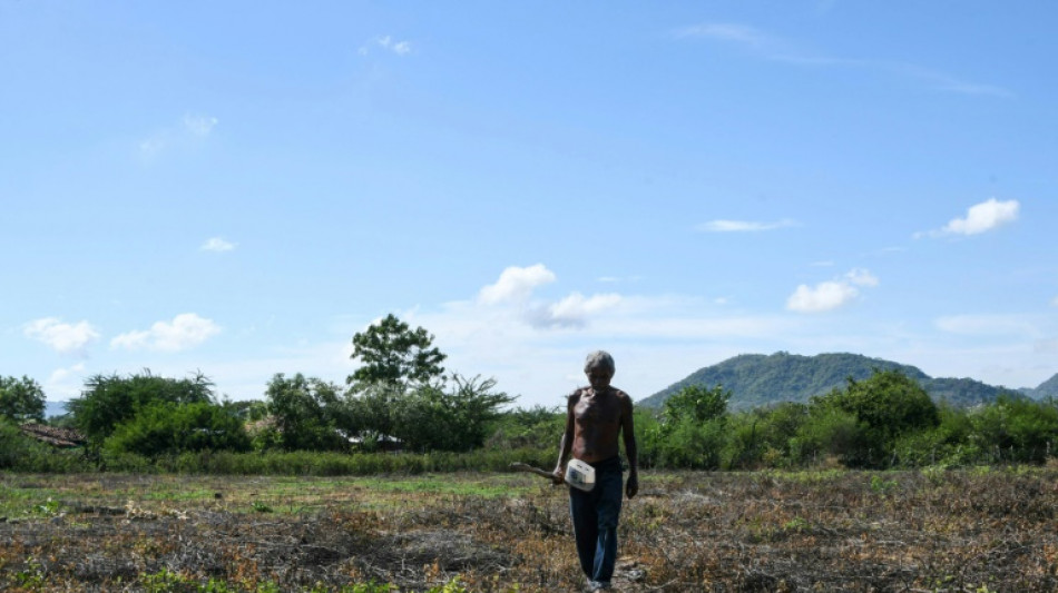 Honduras pide a EEUU renegociar tratado para proteger a sus agricultores