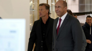 Foot: Hervé Renard à la tête des Bleues, un visage et un pari