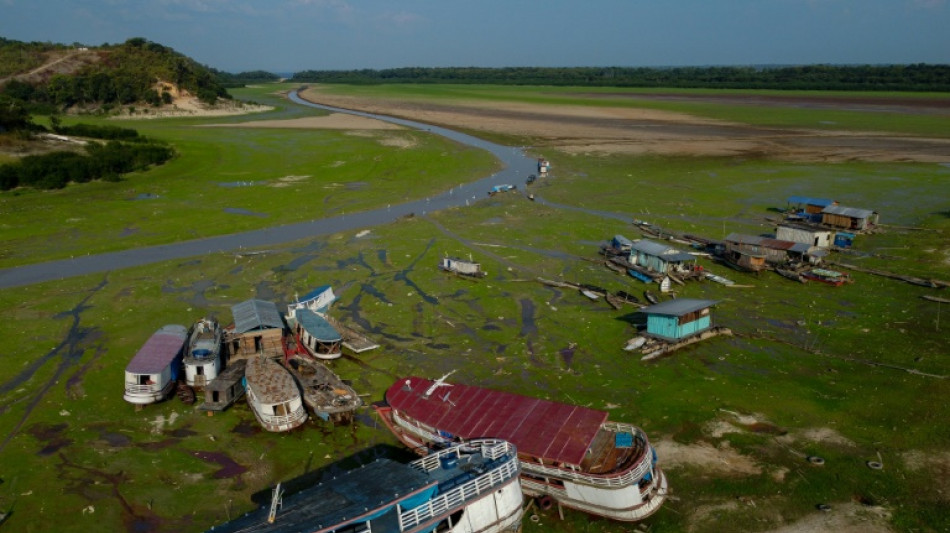 Amazonie: la sécheresse bouleverse la vie d'habitants de Manaus