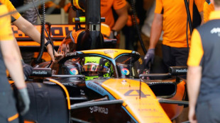 F1: Lando Norris (McLaren) partira en tête du sprint au Brésil devant les Red Bull