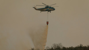 Corée du Sud: déploiement massif de pompiers et soldats contre des feux de forêts