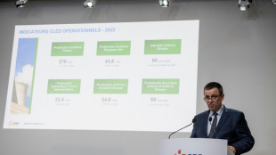 El gigante eléctrico francés EDF registra fuertes pérdidas en 2022