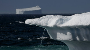 Au Groenland, l'univers inuit fond comme peau de chagrin