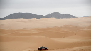 Jour de repos au rallye-Dakar après une première semaine en trombe 