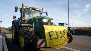 Agricultores belgas bloquean una autopista en unas protestas