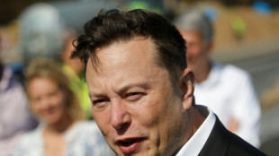 Musk says tweet about buying Manchester United was a joke