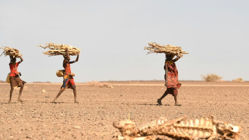 FMI: mudança climática pode aumentar número de mortes relacionadas com conflitos