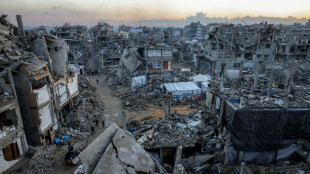 Arab leaders endorse plan to rebuild Gaza under Palestinian Authority