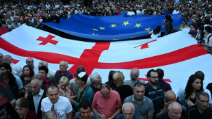 Miles de manifestantes en Georgia reclaman la adhesión a la UE