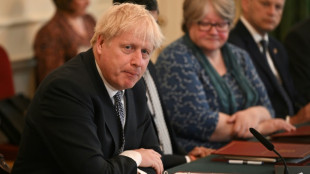 Boris Johnson quiere "seguir adelante" pese a alud de dimisiones en su gobierno