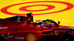 F1: dominateur en Espagne, Leclerc partira en pole, devant Verstappen