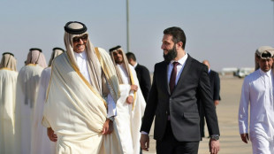 Qatari emir tells Syria leader 'urgent need' for inclusive government