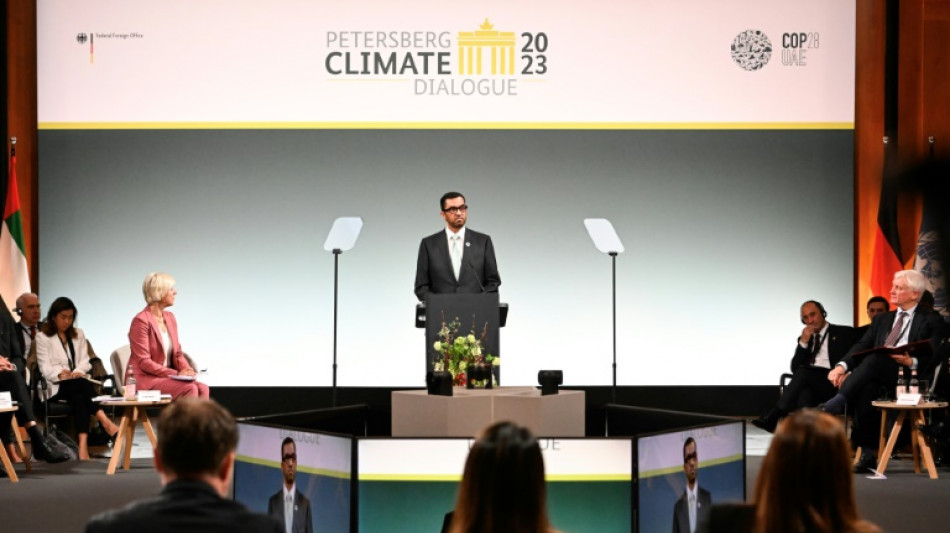 El presidente de COP28 insta a triplicar la capacidad de energías renovables para 2030