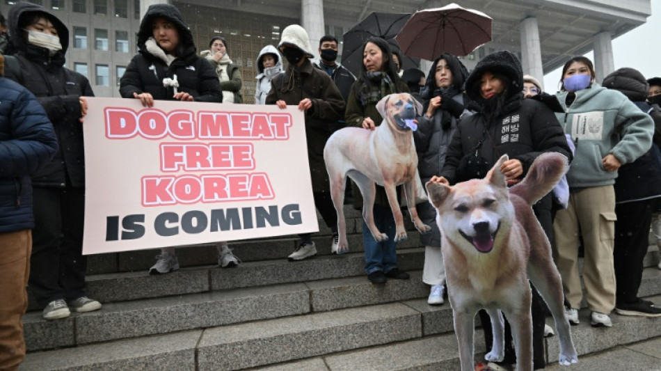 El Parlamento de Corea del Sur prohíbe el comercio de la carne de perro