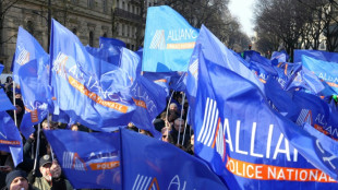 Les policiers mobilisés dans toute la France pour des primes olympiques