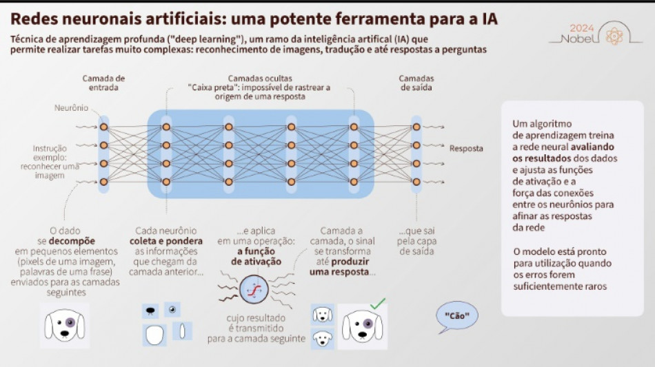 Nobel de Física premia avanços em redes neurológicas artificiais e modelos linguísticos