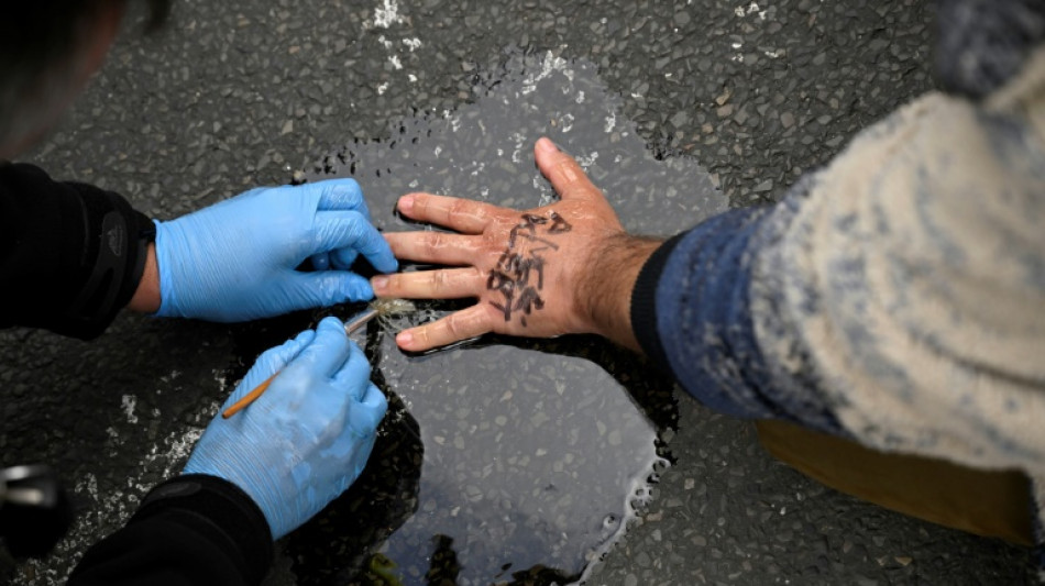 Berliner Polizei darf vorerst keine Gebühren von Klimaklebern verlangen