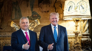 Orban trifft Trump nach Nato-Gipfel