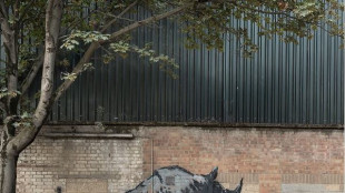 Banksy, nello zoo l'ottavo giorno è del rinoceronte