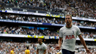 Kane sets Premier League one-club record with 185th Spurs goal