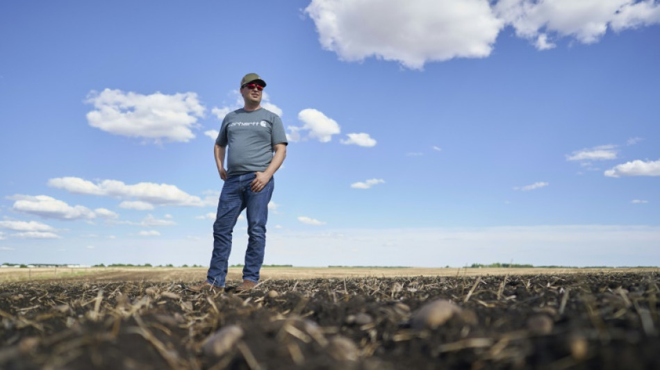 Canadian Prairies farmers try to adapt to a warming world