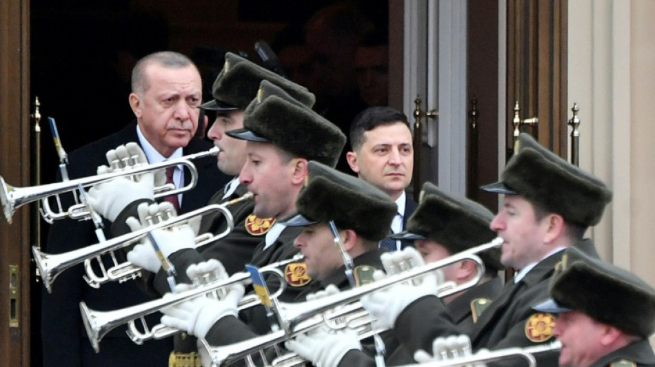 Erdogan eyes Ukraine summit with Putin on Kyiv visit