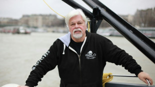 De sa prison au Groenland, le défenseur des baleines Paul Watson continue le combat