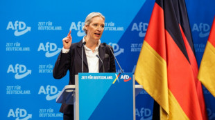 Alice Weidel, unlikely queen of German far-right AfD