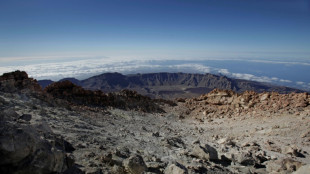 Nürnberger Feuerwehr organisiert Rettung von Wanderern auf Teneriffa