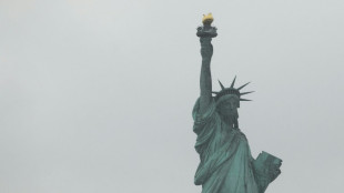 Weißes Haus zu Freiheitsstatue: Ohne die USA würden die Franzosen "Deutsch sprechen"