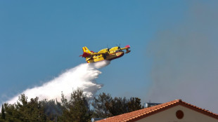 Grecia combate grandes incendios forestales en medio de ola de calor