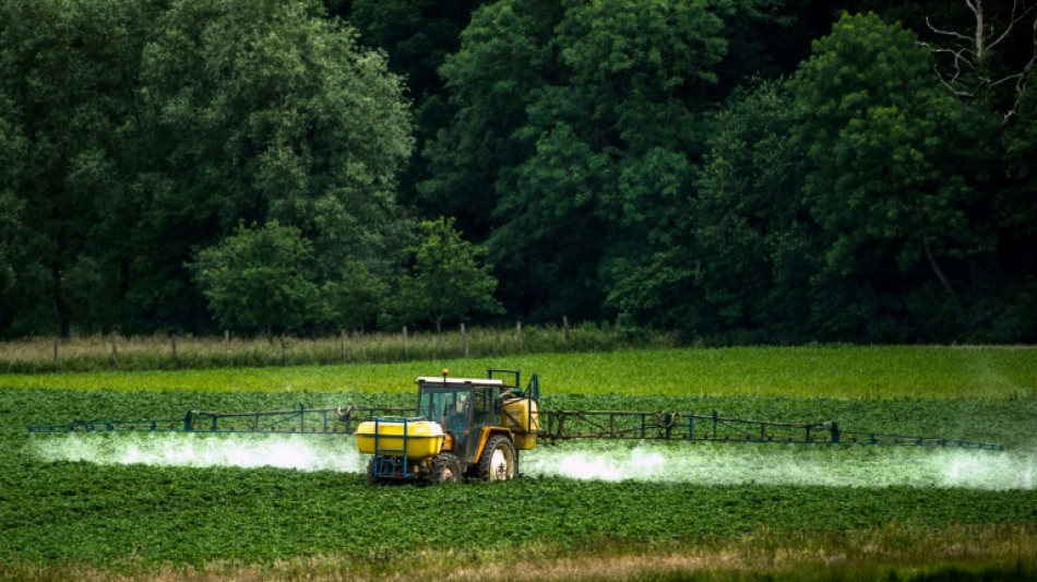 Landwirt versprüht Pflanzenschutzmittel: Mehrere Verletzte in sächsischer Kita