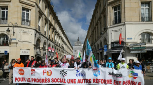 Protestas a la baja en Francia antes de decisión clave sobre la reforma de las pensiones