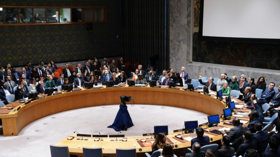 Consejo de Seguridad de ONU rechaza con veto de EEUU resolución sobre conflicto Israel-Hamás