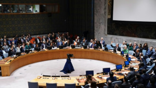 El Consejo de Seguridad de la ONU rechaza con el veto de EEUU una resolución de condena al conflicto Israel-Hamás